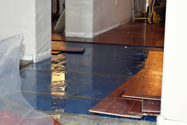 Professional Basement Flood Cleanup technician working in Pelham, NY
